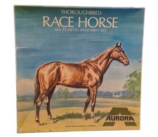 Thoroughbred Race Horse made