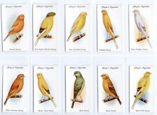 Aviary and Cage Birds Cigarette Cards Full Set of 50 issued by Players in 1933