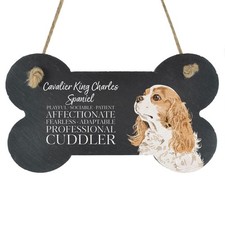 Cavalier King Charles Spaniel Characteristics Dog Traits Gift Slate Bone Plaque