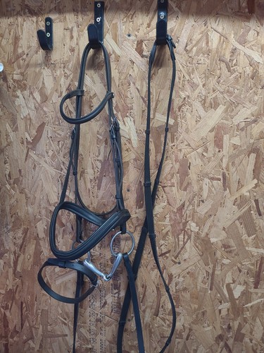 English leather flash - leather, bridle