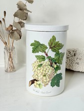 Vintage Portmeirion Botanic