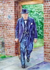 11.69 × 16.53"  Winston