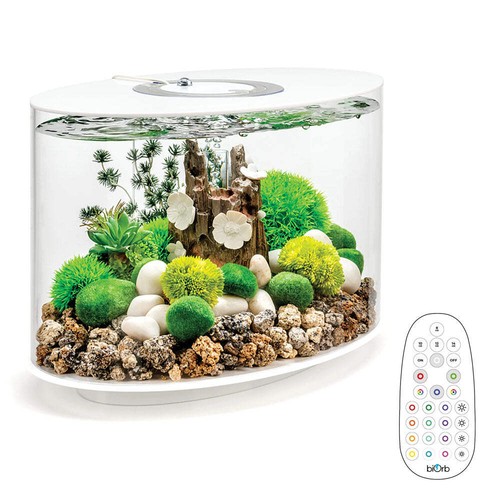 Biorb loop aquarium fish - biorb,