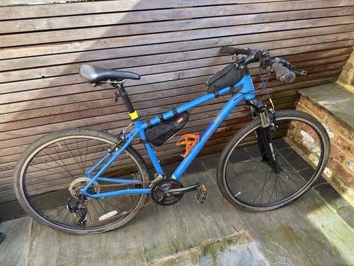 Pinnacle cobalt blue hybrid - blue,