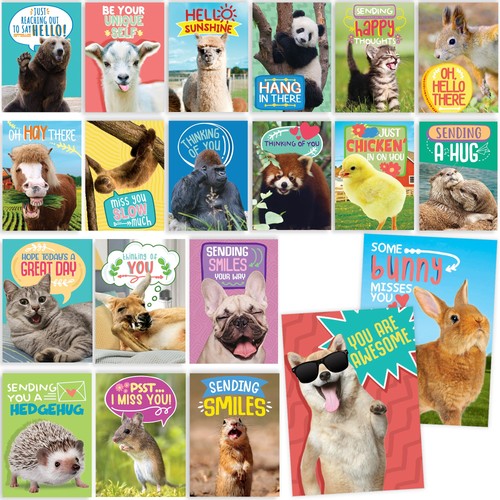 Funny animal postcards - postcards,