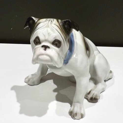 Grafenthal english bulldog - grafenthal,