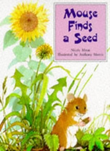 Mouse finds seed nicola - mouse, a
