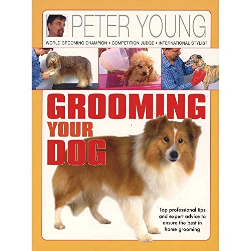 Grooming your dog top - your,
