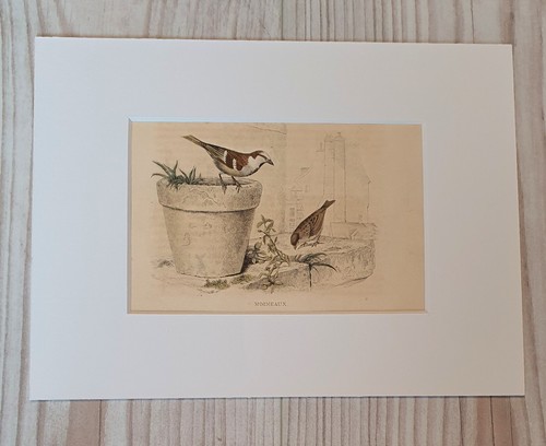 1852 lithograph art print wood - print,
