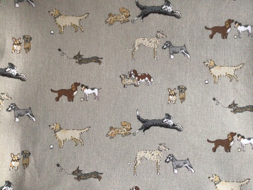 Sophie allport doggy - sophie,
