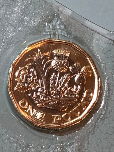 2021 one pound coin - pound, floral