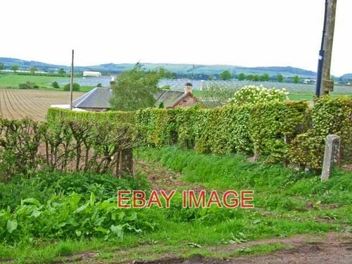 Photo broomend near meigle - photo,