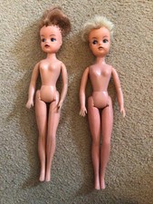 Two Vintage 1977 Pedigree