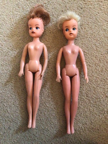 Two vintage 1977 pedigree - two,
