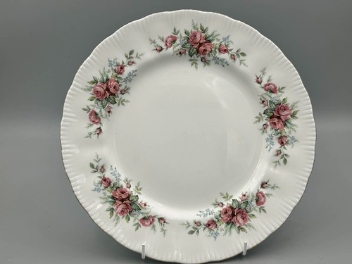 Royal standard rambling rose - rambling,