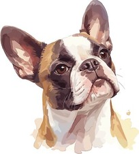 Wandtattoo Aufkleber