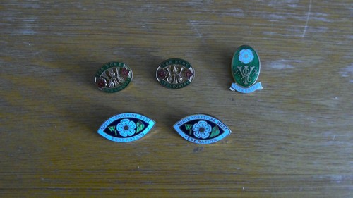 Five women institute - five, badges