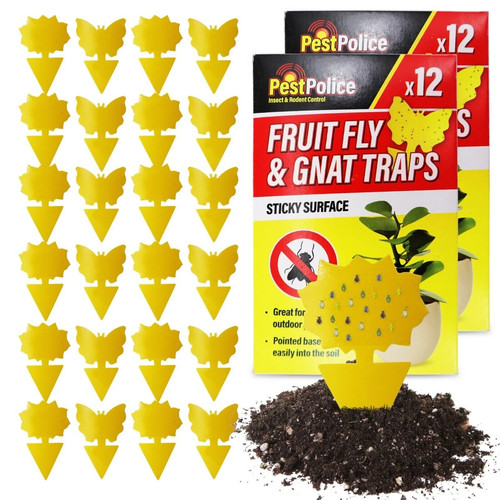 Butterfly garden pest trap - garden,