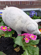 Stone garden pig piglet garden