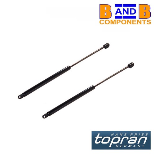 Tail gate struts vw - tail, t25