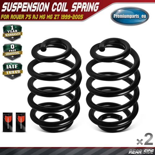 Coil springs rear side - rear,