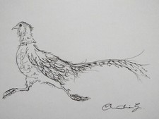 Drawing Pheasant Original hand