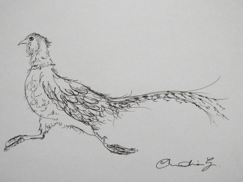 Drawing pheasant original - original, hand