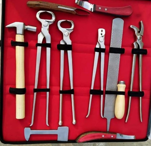 Farrier tool kit - farrier, for