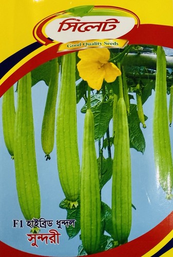 Bangladeshi dundol seeds - 10+,