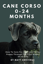 Cane Corso 0-24 Months: How to
