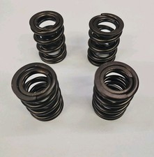 Gm Double Valve Spring Set