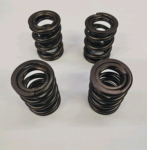 Double valve spring set - double,