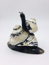 Vintage Magpie Banded Hermit Crab Snail Shell Buffalo Horn Art