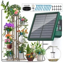 Greenhouse allotment owner - greenhouse,
