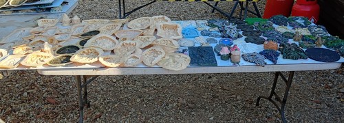 Huge joblot new latex - huge,