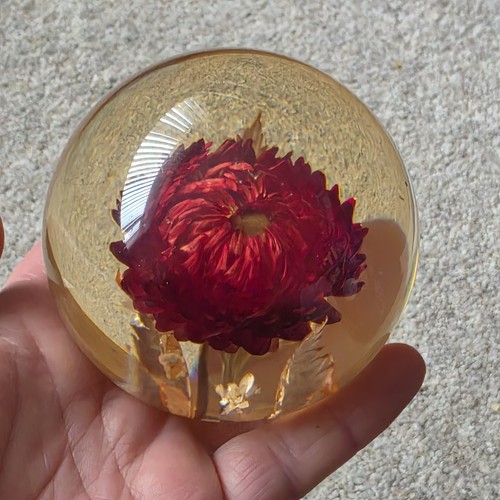 Hippocampus flower paperweight - hippocampus,
