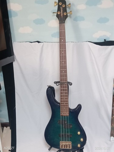 Photogenic electric bass - electric,