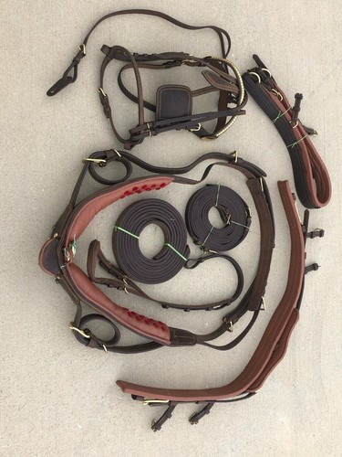 Full size horse gig harness - size,