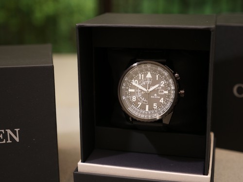 Citizen promaster nighthawk - citizen,