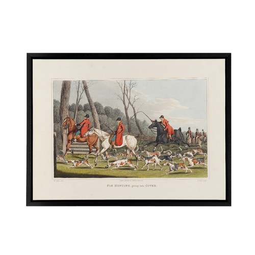 Fox hunting into cover - fox,