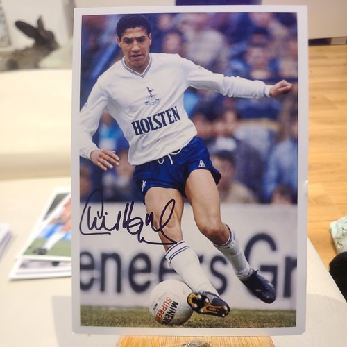 Chris houghton tottenham spurs - houghton,