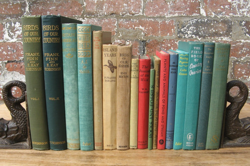 Vintage antique natural - antique,