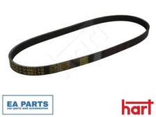 V-Ribbed Belt for AUSTIN
