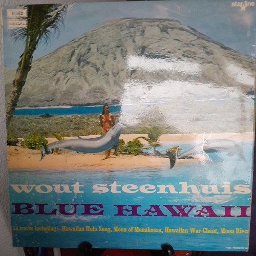 Wout steenhuis blue hawaii - wout,