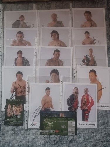 Official pro wrestling - 13,