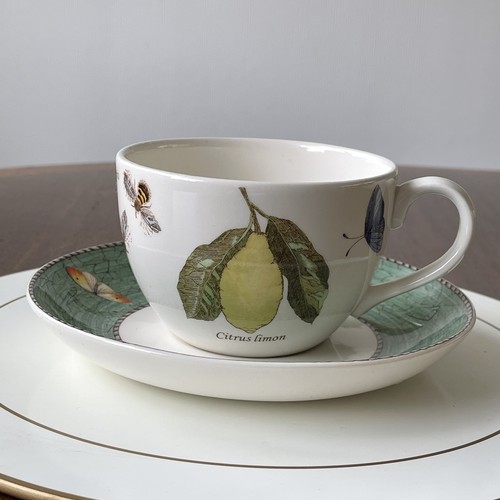 Wedgwood sarah garden - , ‘sarah's