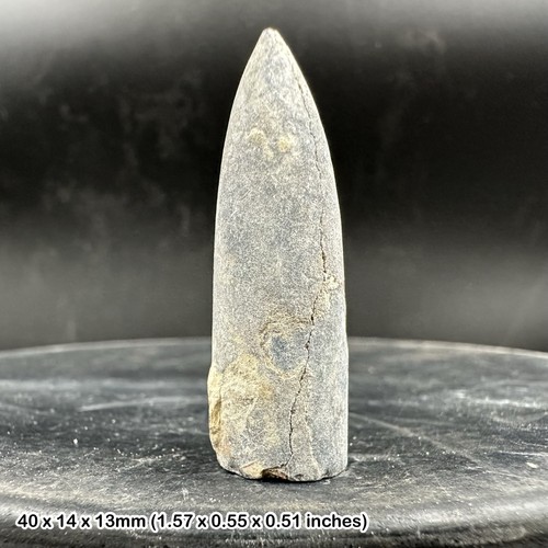 Norfolk belemnite fossil - ,