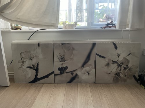 Large canvas set 3 - large, of