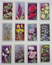 Wills Cigarette Cards WILD