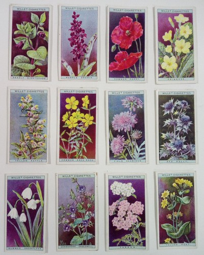 Wills cigarette cards wild - wills,